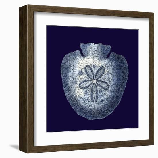 Indigo Shells III-Vision Studio-Framed Art Print