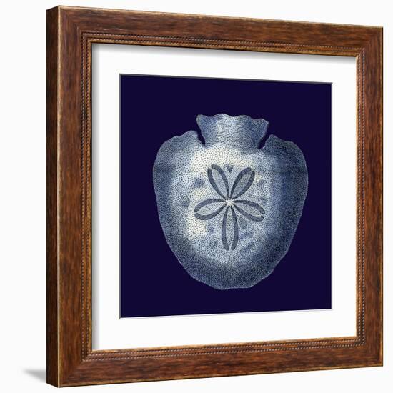 Indigo Shells III-Vision Studio-Framed Art Print