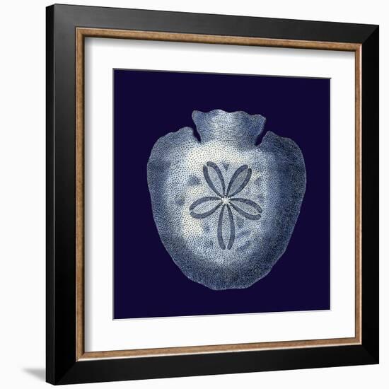 Indigo Shells III-Vision Studio-Framed Art Print