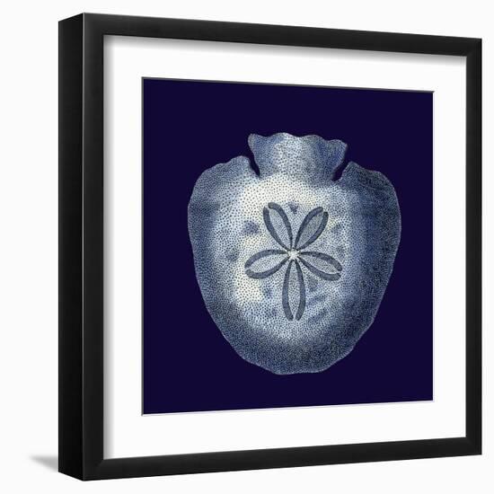 Indigo Shells III-Vision Studio-Framed Art Print