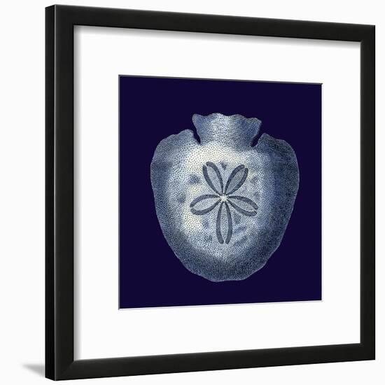 Indigo Shells III-Vision Studio-Framed Art Print