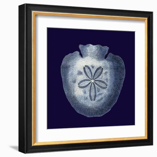 Indigo Shells III-Vision Studio-Framed Art Print