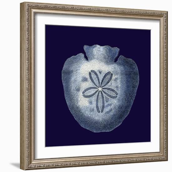 Indigo Shells III-Vision Studio-Framed Art Print