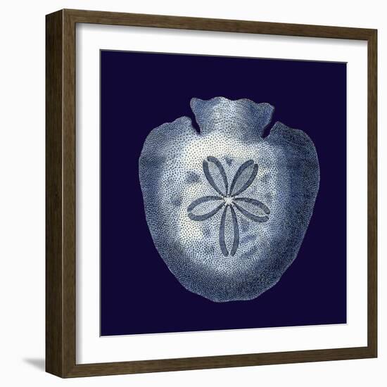 Indigo Shells III-Vision Studio-Framed Art Print