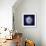 Indigo Shells III-Vision Studio-Framed Art Print displayed on a wall