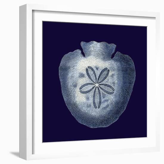 Indigo Shells III-Vision Studio-Framed Art Print