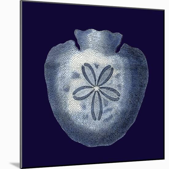 Indigo Shells III-Vision Studio-Mounted Art Print