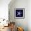 Indigo Shells IV-Vision Studio-Framed Art Print displayed on a wall