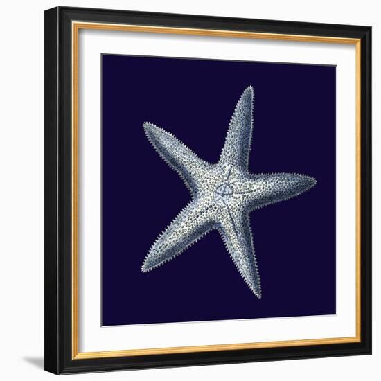 Indigo Shells IV-Vision Studio-Framed Art Print