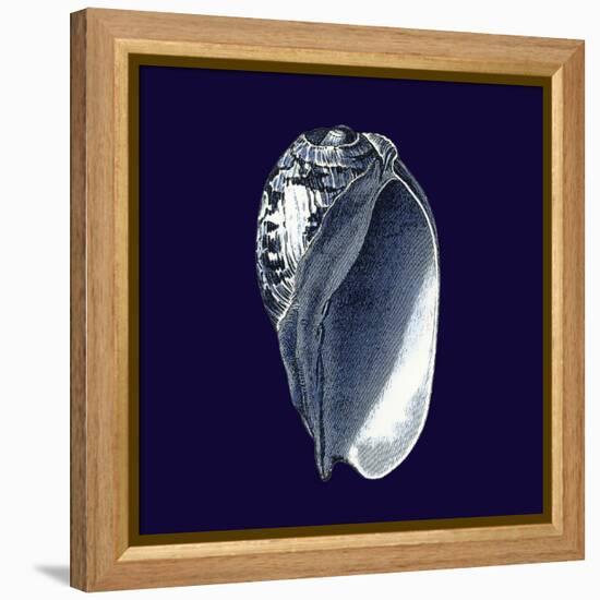 Indigo Shells V-Vision Studio-Framed Stretched Canvas