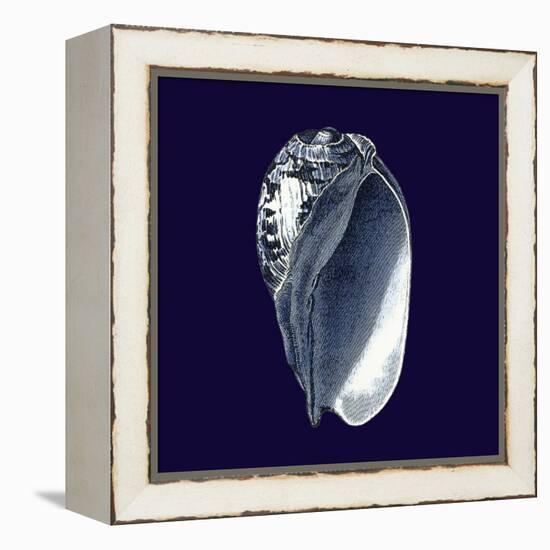 Indigo Shells V-Vision Studio-Framed Stretched Canvas