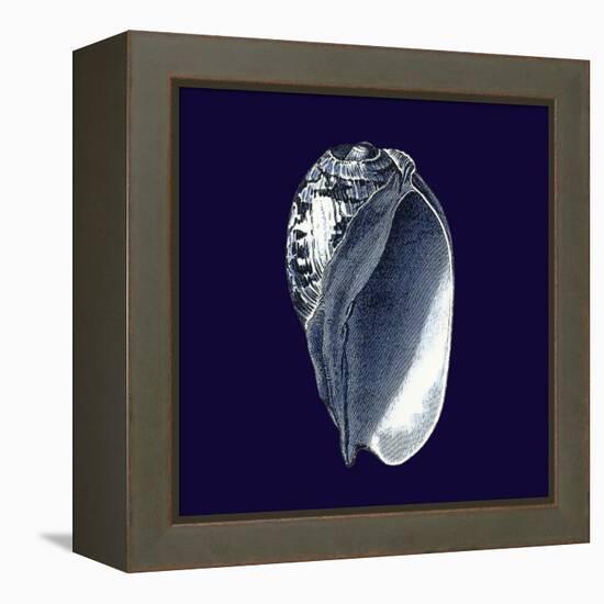 Indigo Shells V-Vision Studio-Framed Stretched Canvas