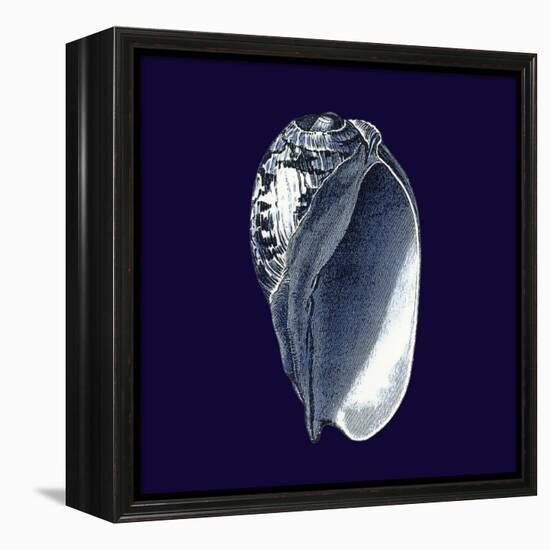 Indigo Shells V-Vision Studio-Framed Stretched Canvas