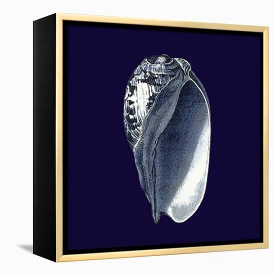 Indigo Shells V-Vision Studio-Framed Stretched Canvas