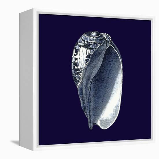 Indigo Shells V-Vision Studio-Framed Stretched Canvas