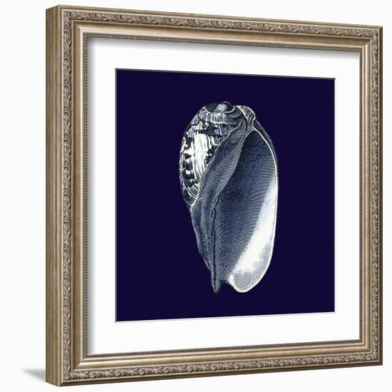 Indigo Shells V-Vision Studio-Framed Art Print