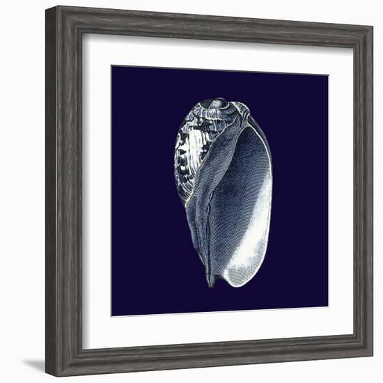 Indigo Shells V-Vision Studio-Framed Art Print