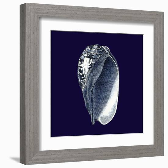 Indigo Shells V-Vision Studio-Framed Art Print