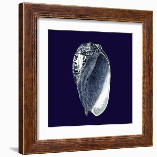 Indigo Shells V-Vision Studio-Framed Art Print