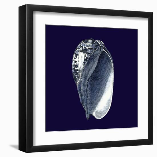Indigo Shells V-Vision Studio-Framed Art Print
