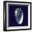 Indigo Shells V-Vision Studio-Framed Art Print