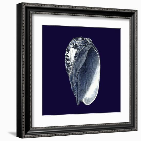 Indigo Shells V-Vision Studio-Framed Art Print