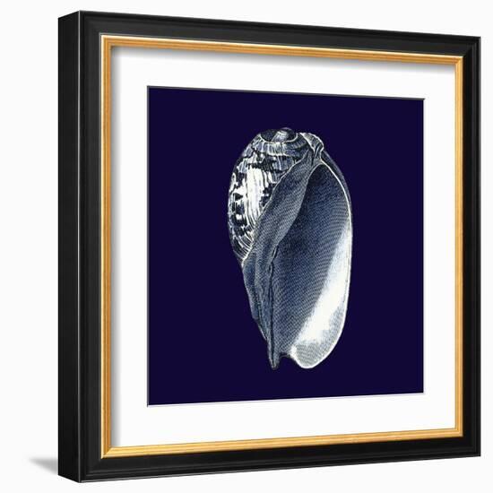 Indigo Shells V-Vision Studio-Framed Art Print