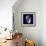 Indigo Shells V-Vision Studio-Framed Premium Giclee Print displayed on a wall