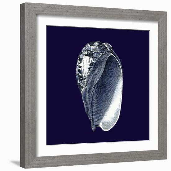 Indigo Shells V-Vision Studio-Framed Premium Giclee Print