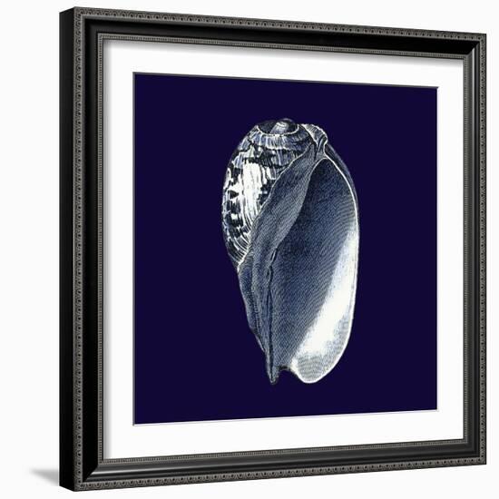 Indigo Shells V-Vision Studio-Framed Premium Giclee Print