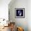 Indigo Shells V-Vision Studio-Framed Premium Giclee Print displayed on a wall