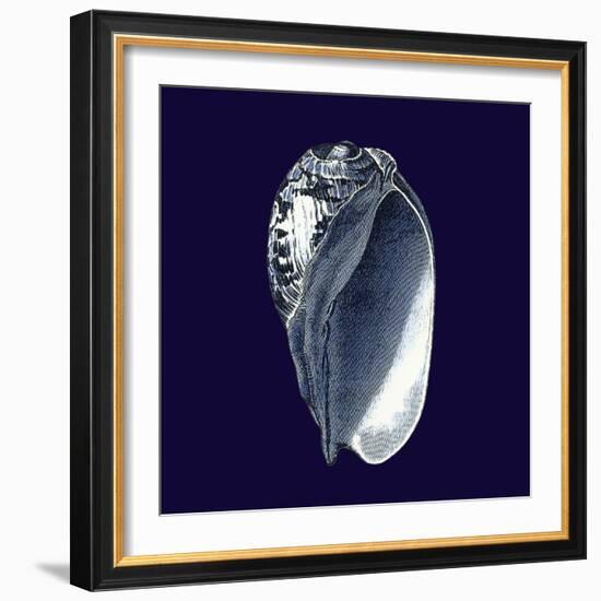 Indigo Shells V-Vision Studio-Framed Premium Giclee Print