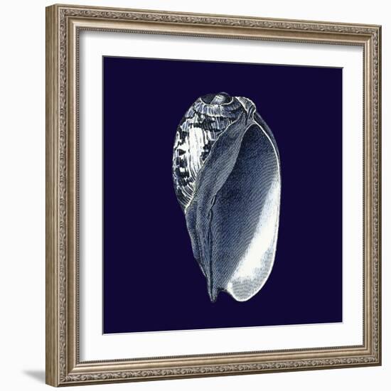 Indigo Shells V-Vision Studio-Framed Art Print