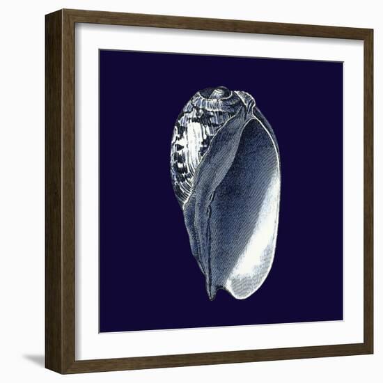 Indigo Shells V-Vision Studio-Framed Art Print