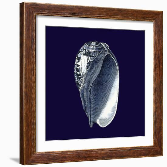 Indigo Shells V-Vision Studio-Framed Art Print