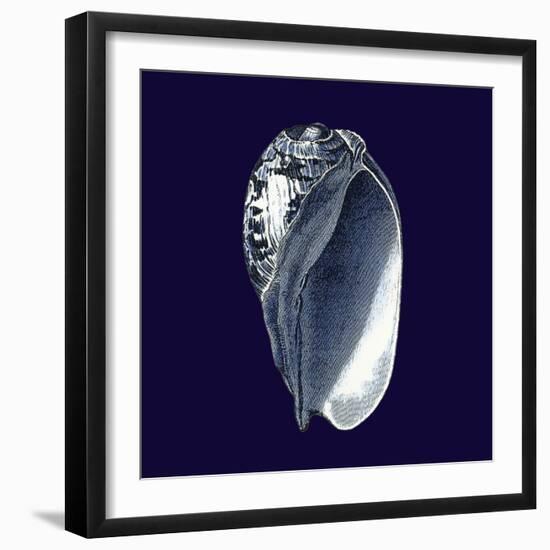 Indigo Shells V-Vision Studio-Framed Art Print