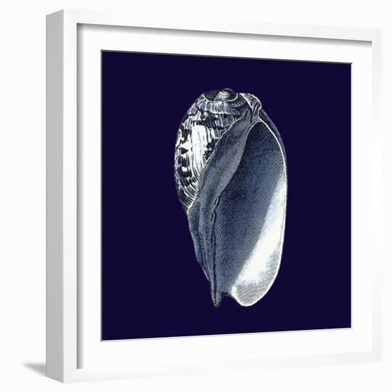 Indigo Shells V-Vision Studio-Framed Art Print