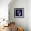 Indigo Shells V-Vision Studio-Framed Art Print displayed on a wall