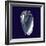 Indigo Shells V-Vision Studio-Framed Art Print