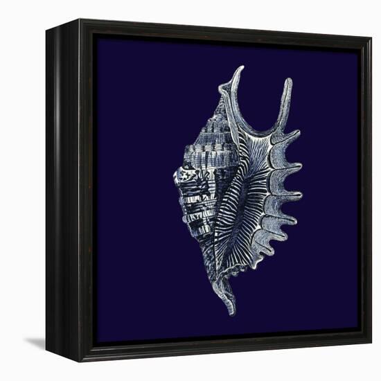 Indigo Shells VI-Vision Studio-Framed Stretched Canvas