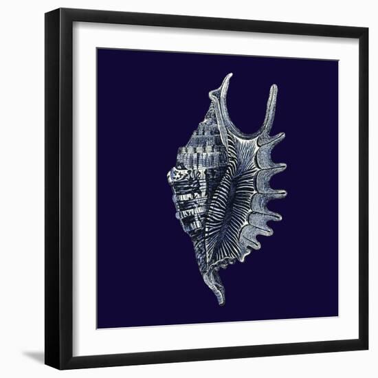 Indigo Shells VI-Vision Studio-Framed Premium Giclee Print