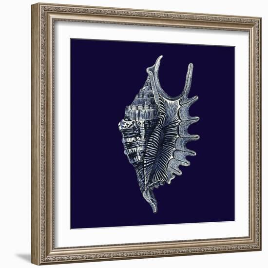 Indigo Shells VI-Vision Studio-Framed Art Print