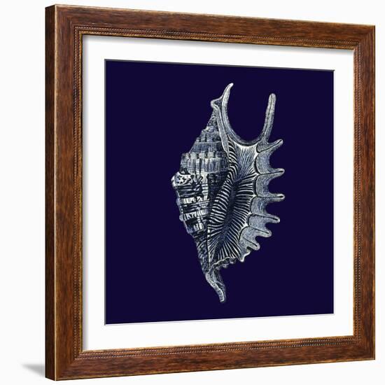 Indigo Shells VI-Vision Studio-Framed Art Print