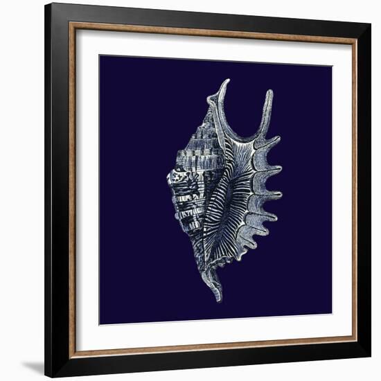 Indigo Shells VI-Vision Studio-Framed Art Print