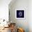 Indigo Shells VI-Vision Studio-Framed Art Print displayed on a wall