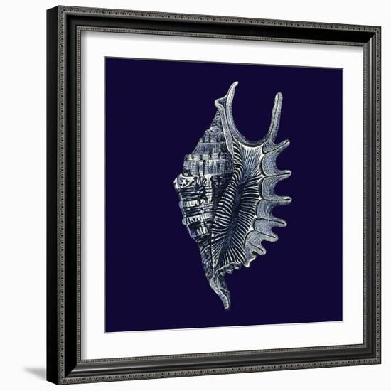 Indigo Shells VI-Vision Studio-Framed Art Print