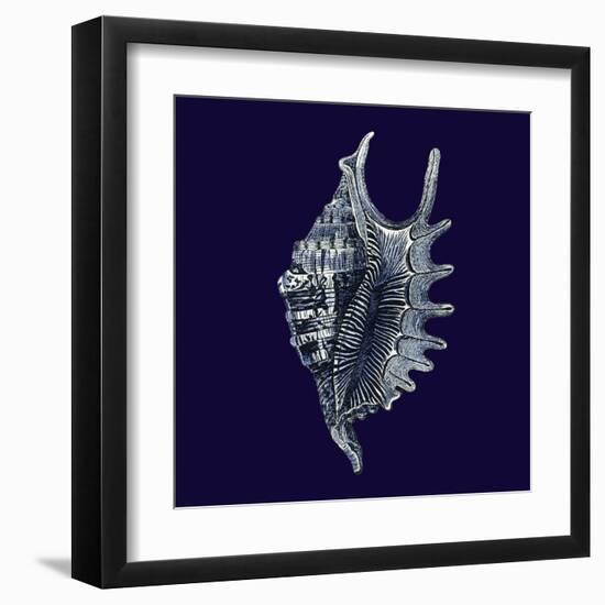Indigo Shells VI-Vision Studio-Framed Art Print