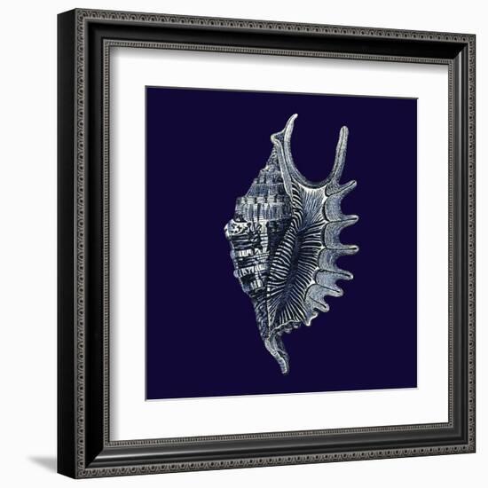 Indigo Shells VI-Vision Studio-Framed Art Print