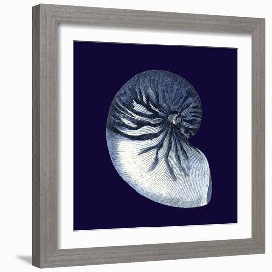 Indigo Shells VII-Vision Studio-Framed Art Print