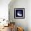 Indigo Shells VII-Vision Studio-Framed Art Print displayed on a wall